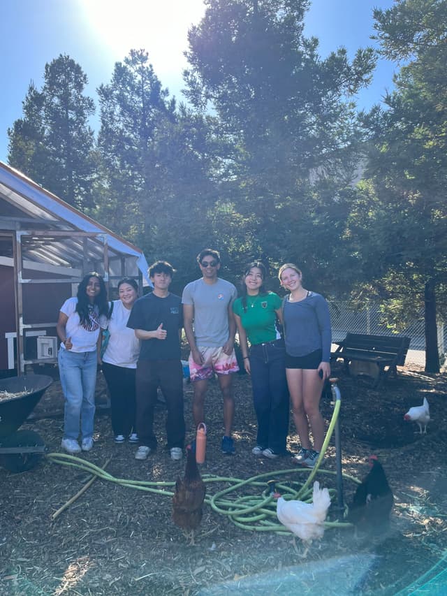 Beach cleanup